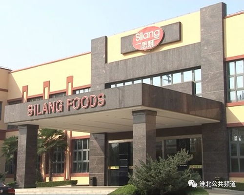 以食品為媒 引鳳凰來棲 招商引資碩果累累 改革潮頭話鳳凰