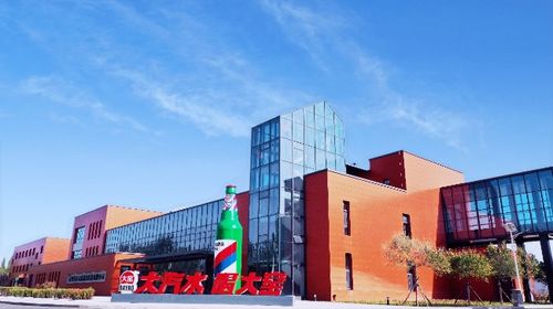 發力直播電商,大窯飲品構建全渠道生態