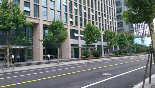 招商局上海中心 租賃出租 招商局上海中心 招商出租