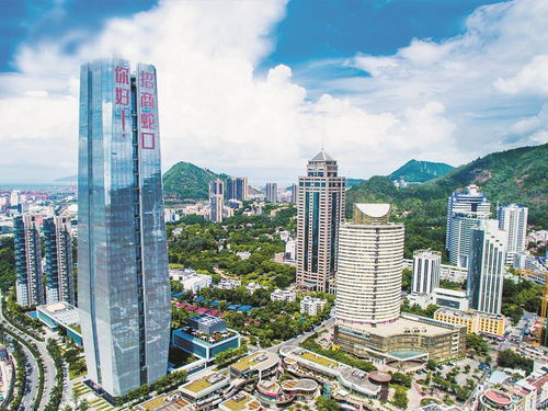 與百年招商共鑒改革新生