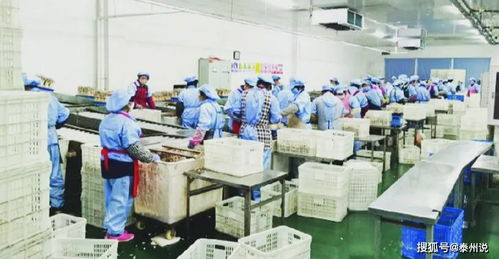 線上線下 ,泰興三區(qū)三園招商成績單來了