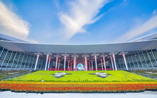 進博會,我們來了